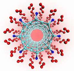 'Metal-Decorated' Nanotubes Hold Promise for Fuel Cells