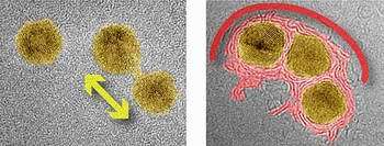 Scientists learn to prevent nano 'merging'