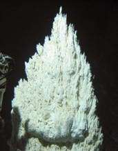 Hydrogen and Methane Sustain Unusual Life at Sea Floor's 'Lost City'