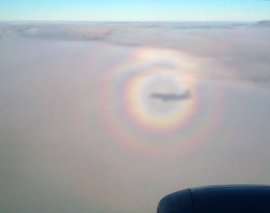 A glory, photographed by air traveler Philip Laven. Copyright 2000, all rights reserved