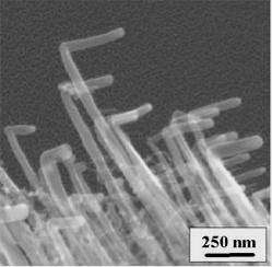 Strong alignment of nanotube growth with the direction of electric field lines
