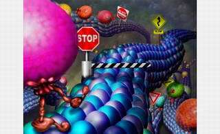 Molecular "tags" on microtubules direct traffic inside cells