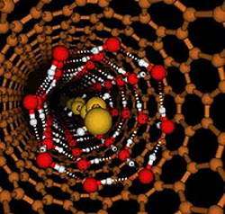 New form of water in a nanotube