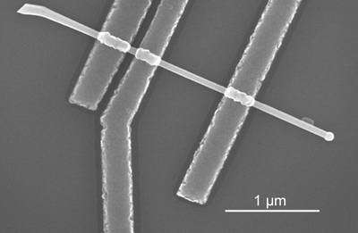 Scanning electron micrograph of one of the semiconductor nanowire devices