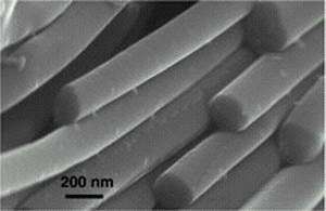 Scientists Test Toxicity of Nanomaterials