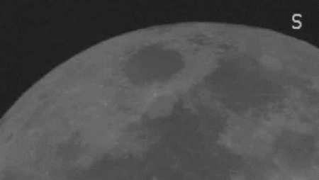 Lunar Leonid Strikes