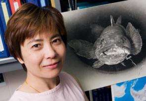 Researchers discover which organs in Antarctic fish produce antifreeze