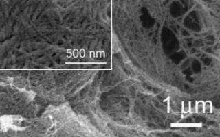 Researchers Create New Organic Gel Nanomaterials