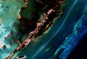 NASA Satellite Data Helps Assess the Health of Florida's Coral Reef
