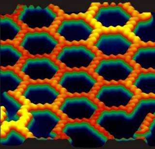 Molecules spontaneously form honeycomb network featuring pores of unprecedented size