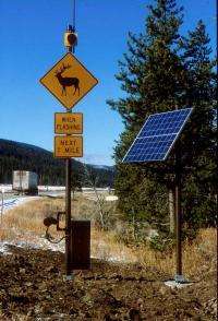 Wildlife-Detection System in Yellowstone
