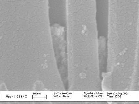 Scanning electron microscope image of two individual electrodes