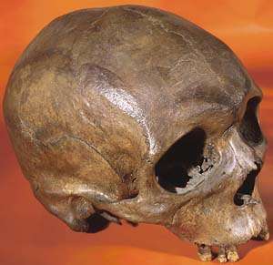 Homo sapiens: 'Out of Africa' three distinct times, new analysis shows