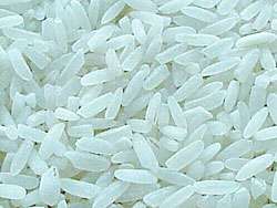 Schaal rice one. Photo courtesy USDA