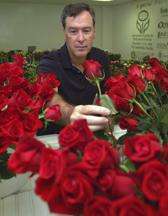Mother’s Day roses could soon smell sweeter, thanks to new research