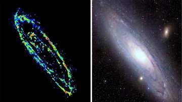 Cold Gas in the Andromeda Galaxy