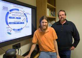 Life Cycle of Operons Yields New Look at Bacterial Genetics