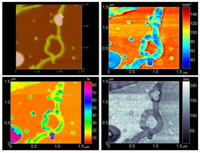 New highly sensitive AFM revolutionizes nano imaging
