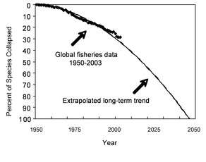 Accelerating Loss of Ocean Species Threatens Human Well-Being