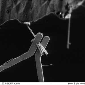 Pulling a nanowire from its substrate.