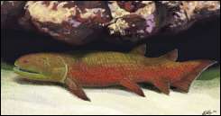 An artist's impression shows a 380 million year old Devonian fish