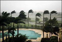 Palm trees at a hotel bend in fierce winds