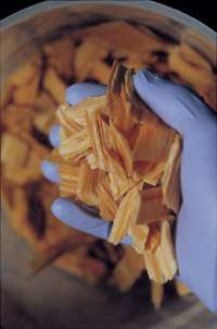 Wood chips used to make bioethanol.