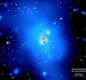 XMM-Newton digs into the secrets of fossil galaxy clusters