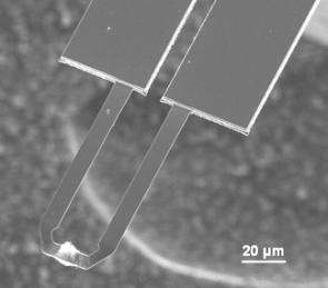 Growing Nanostructures on Micro Cantilever Provides New Platform for Materials Discovery