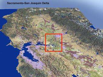 Experts fear impacts of quake on San Francisco Bay Delta