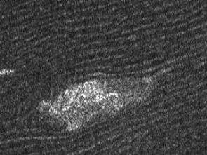 Detail from a Cassini radar image of sand dunes on Titan