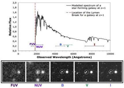 Ubiquitous galaxies discovered in the Early Universe f2