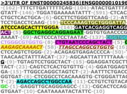 IBM Discovery Could Shed New Light on Workings of the Human Genome