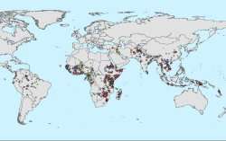 Global maps created to show malaria hotspots