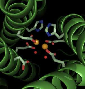 Scientists Convert Modern Enzyme into its Hypothesized Ancestor