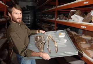 Fossils from ancient sea monster found in Montana