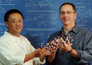 New Ways to Synthesize a Biomedically Important Molecule
