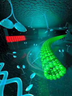 Biological motors sort molecules one by one on a chip