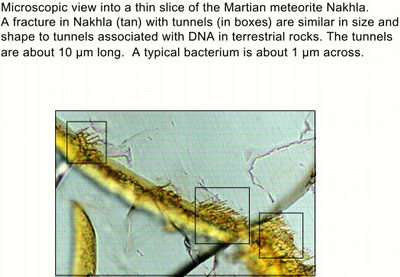 A microscopic view into a thin slice of the Martian meteor Nakhla