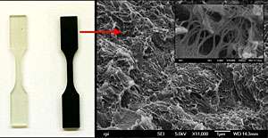 Adding Nanotubes Makes Ordinary Materials Absorb Vibration
