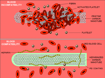 Blood-Compatible Nanoscale Materials Possible Using Heparin