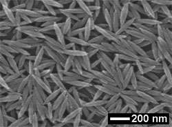 Rice University researchers create 'nanorice'
