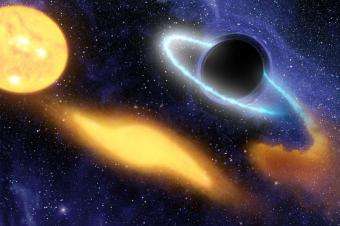 NASA Telescope Sees Black Hole Munch on a Star