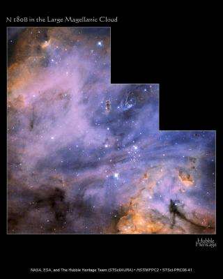 Wispy Dust and Gas Paint Portrait of Starbirth