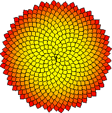 Phyllotaxis