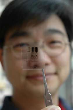 Research dishes out flexible computer chips