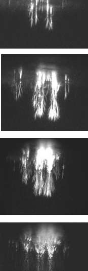 Images from video capturing sprites.