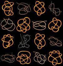 Physicists Tackle Knotty Puzzle