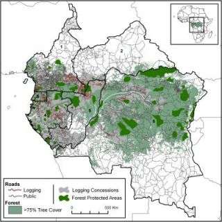 Scientists study impacts of industrial logging in Central Africa