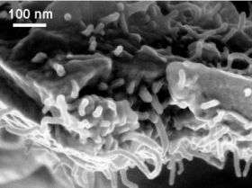Carbon Nanotubes Randomly Dispersed in an Epoxy Resin